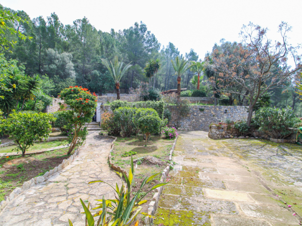 2424C - Webfotos (43)
