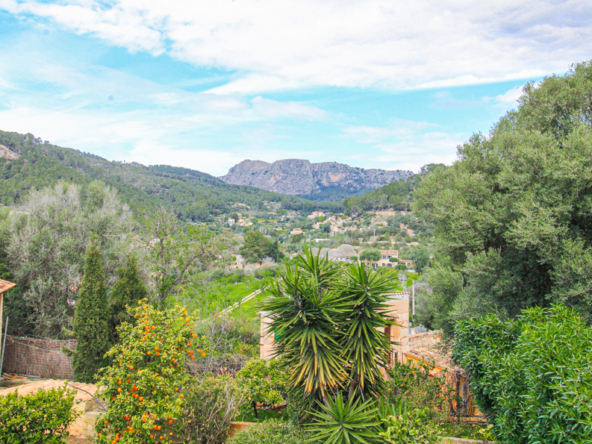2424C - Webfotos (50)