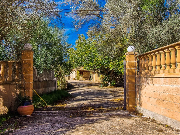 Entrada y Salida