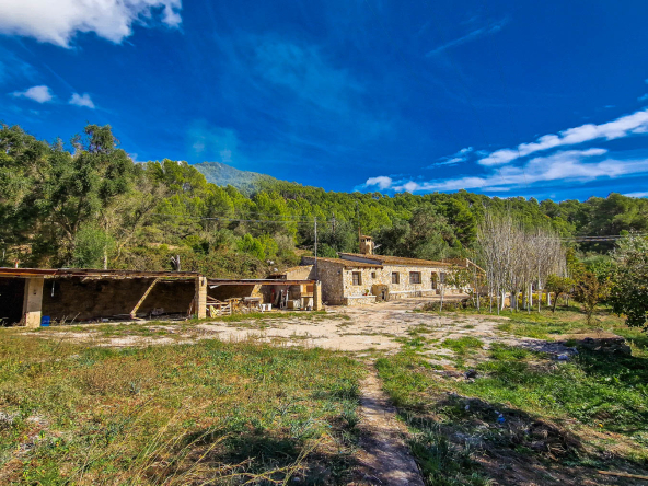 Fachada y Terazza 1