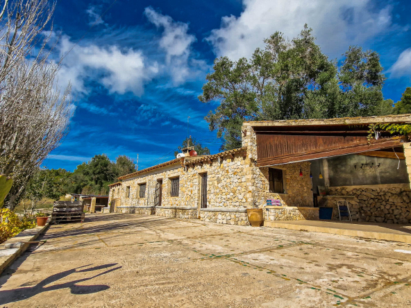 Fachada y Terazza 2