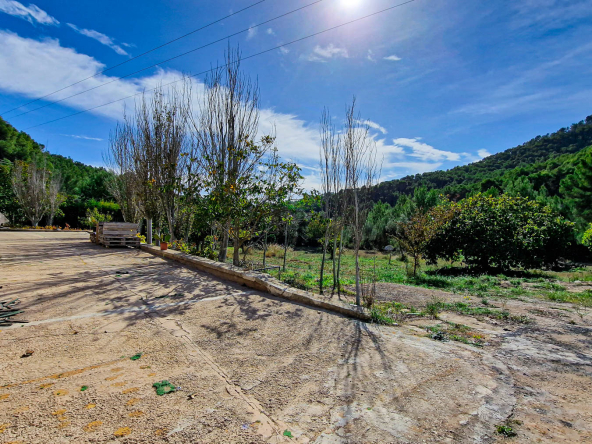 Terraza