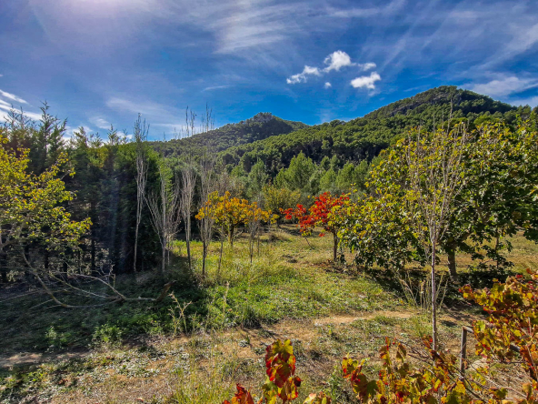 Vistas (2)