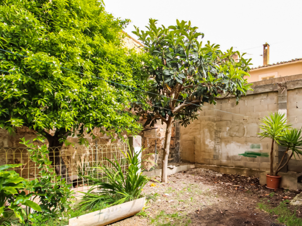 2436C Webfotos (1)
