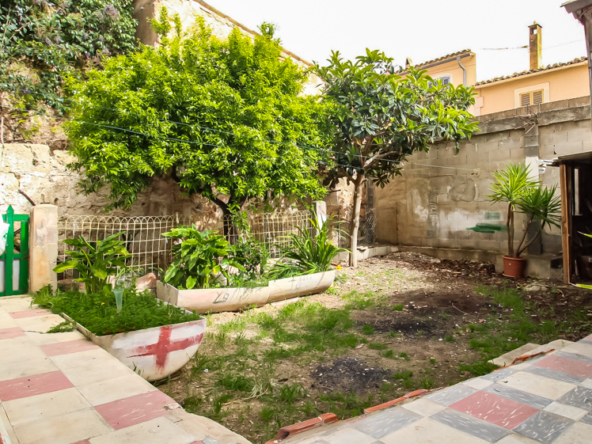 2436C Webfotos (4)