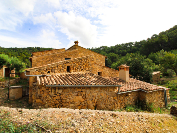 2463C - Webfotos (13)