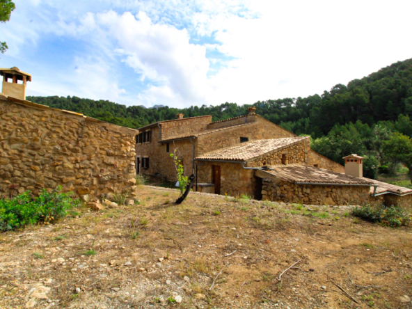 2463C - Webfotos (14)