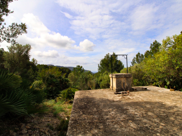 2463C - Webfotos (24)