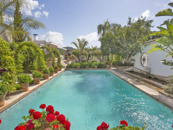 4206T (17)
